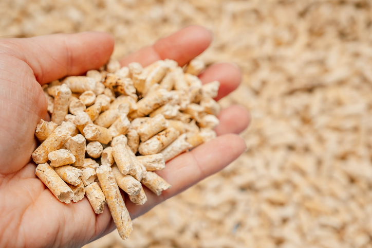 Hand hält Holzpellets über einem Pelletlager
